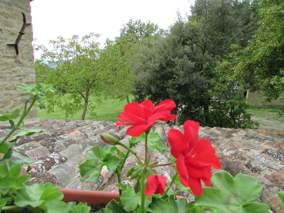 Bed and Breakfast Le Querce Di Campolungo San Giustino Exterior foto