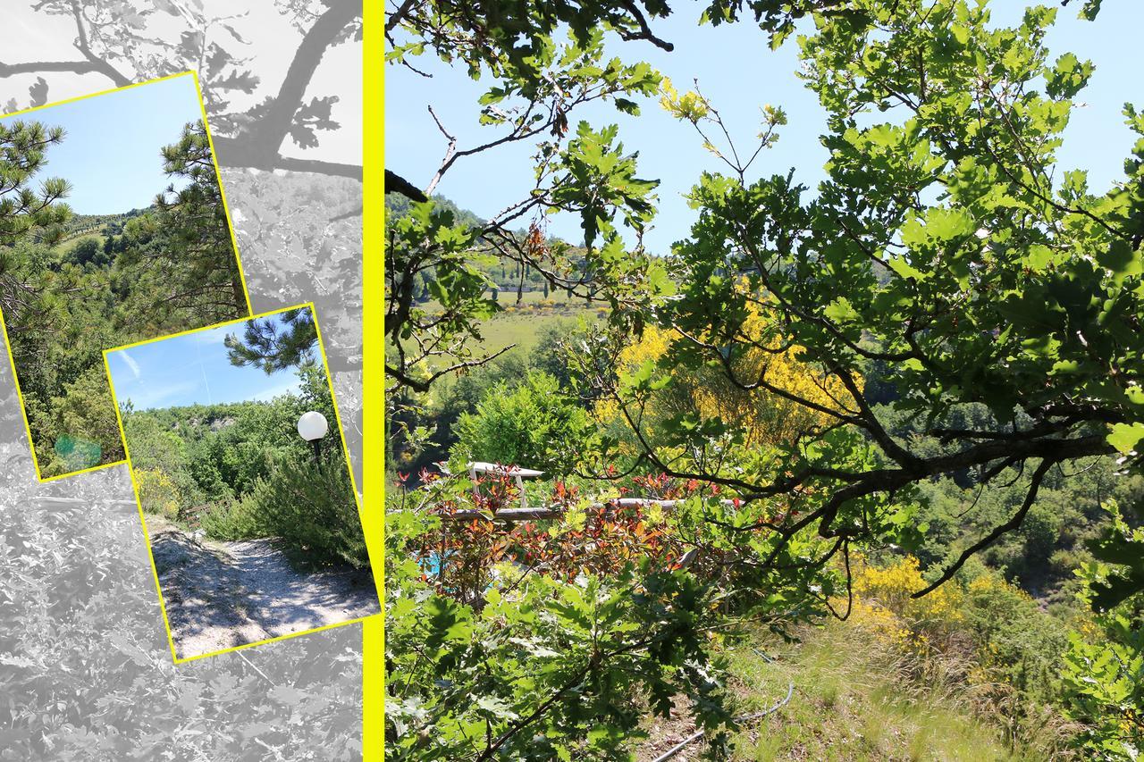 Bed and Breakfast Le Querce Di Campolungo San Giustino Exterior foto